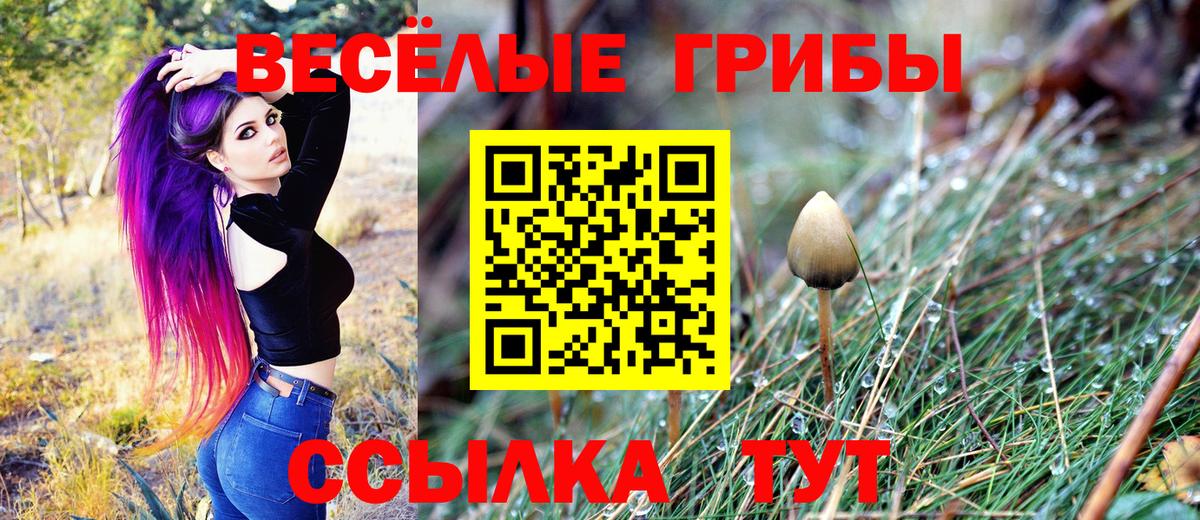 Псилоцибиновые грибы GOLDEN TEACHER  Псилоцибиновые грибы мицелий  Нурлат  Вход с VPN 
