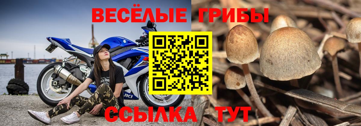 Псилоцибиновые грибы Magic Shrooms Нурлат